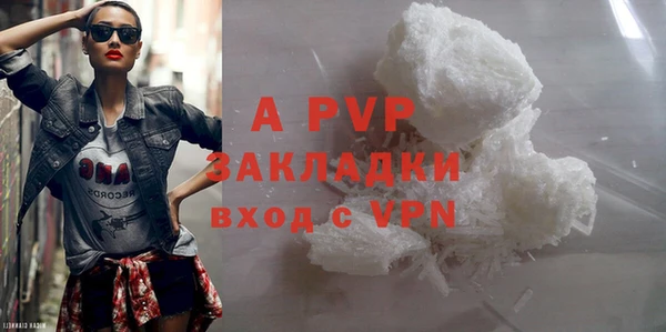 дживик Осинники