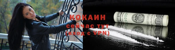 таблы Богородицк