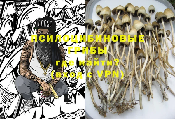 прущие крисы Бронницы