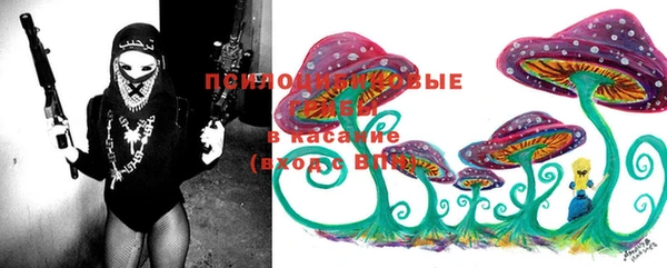 прущие крисы Бронницы