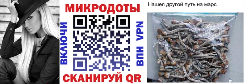 Псилоцибиновые грибы Cubensis  хочу наркоту  Нерюнгри 