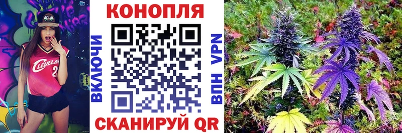 Бошки марихуана планчик  Нерюнгри 